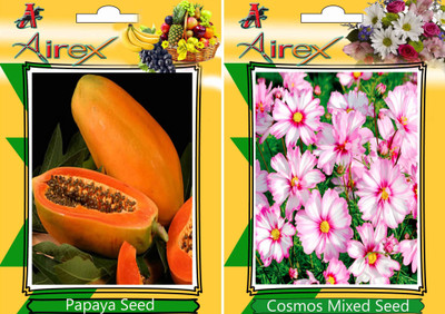 

Airex Papaya and Cosmos Mixed Seed(25 per packet)