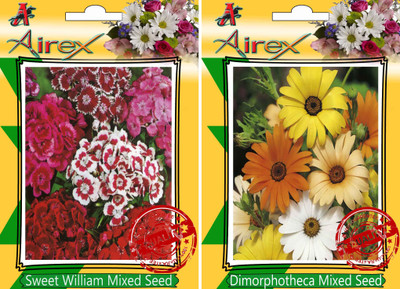 

Airex Sweet William Mixed, Dimorphotheca Mixed Seed(30 per packet)