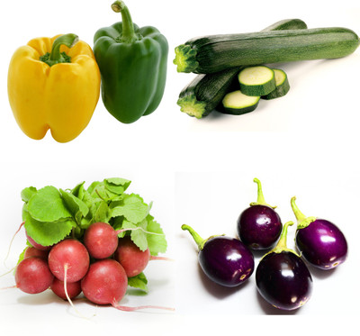 

Farm Seeds Flower seeds combo for Garden (Pack of 4) Seed(100 per packet)