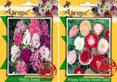 

Airex Phlox, Poppy Shirley Mixed Seed(20 per packet)