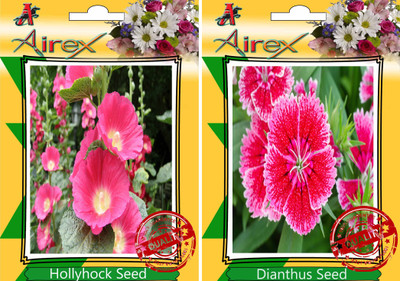 

Airex Hollyhock, Dianthus Seed(15 per packet)