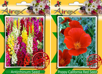 

Airex Antirrhinum, Poppy California Red Seed(25 per packet)