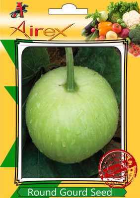 

Airex Tinda Seed(20 per packet)