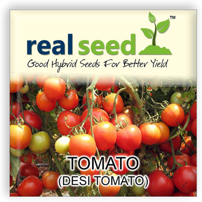 

Real Seed Tomato (Desi Tomato) Export Quality Seed(40 per packet)