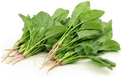 iGrow Spinach Seeds Seed(100 per packet)