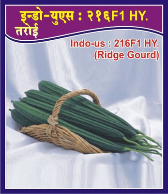 Indous Agriseeds Ridgegourd Seed, Seed Seed(50 Per Packet)