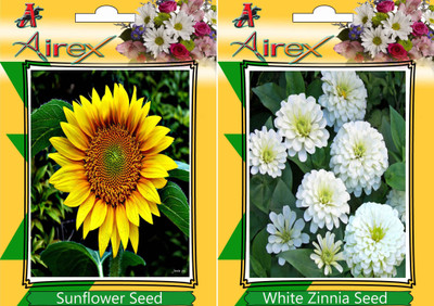 

Airex Sunflower, White Zinnia Seed(25 per packet)