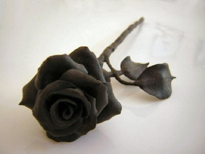 

National Gardens Rose Seed(10 per packet)