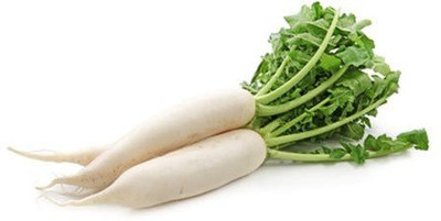 Igrow Radish Seeds Seed(100 per packet)
