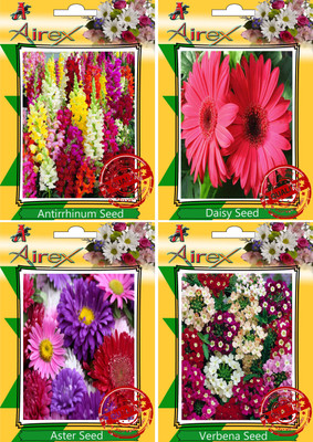 

Airex Antirrhinum, Daisy, Aster, Verbena Seed(30 per packet)