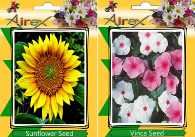 

Airex Sunflower, Vinca Seed(20 per packet)
