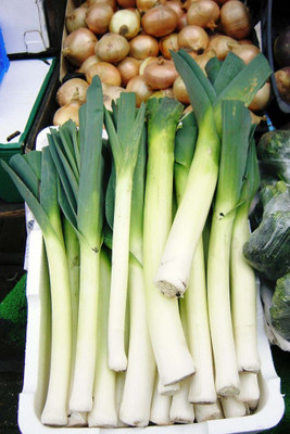 

National Gardens American Flag Leek Seeds by National Gardens Seed(100 per packet)