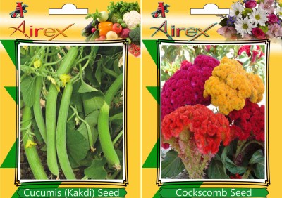 Airex Cucumis and Cockscomb Seed(20 per packet)