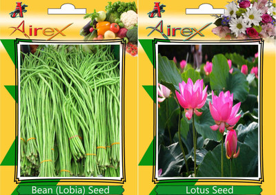 Airex Bean (Lobia) and Lotus Seed(15 per packet)