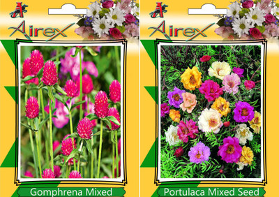 Airex Gomphrena Mixed and Portulaca Mixed Seed(15 per packet)
