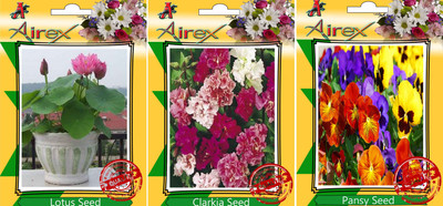 

Airex Lotus, Clarkia, Pansy Seed(20 per packet)