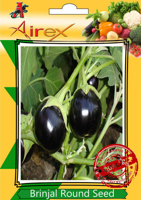 

Airex Brinjal Round Seed(15 per packet)