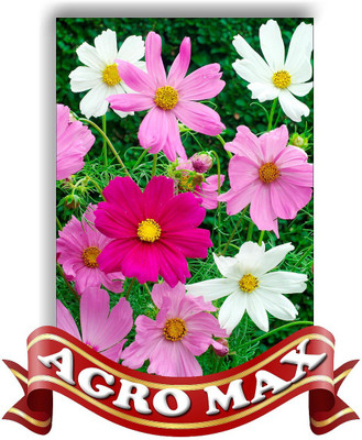 Agro Max COSMOS SENSATION MIX Seed(50 per packet)