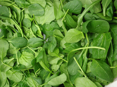 

Amir Enterprises Spinach Seed(20 Per Packet)