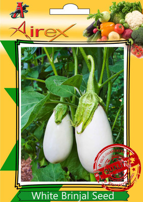Airex White Brinjal Seed(20 per packet)