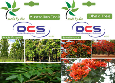 

DCS Australian Teak & Dhak tree Seed(2 per packet)