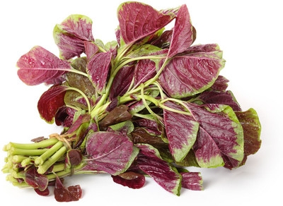 

Farm Seeds HYBRID RED AMARANTHUS Seed(500 per packet)