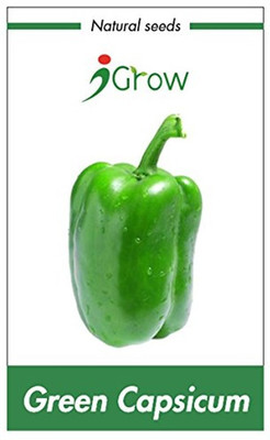 iGrow Capsicum Seeds Seed(20 per packet)