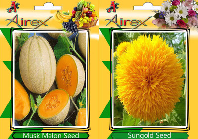 Airex Musk Melon and Sungold Seed(15 per packet)