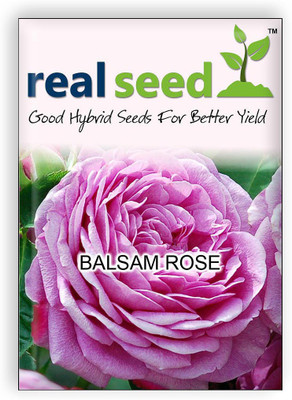 

Real Seed Rose Seed(20 Per Packet)