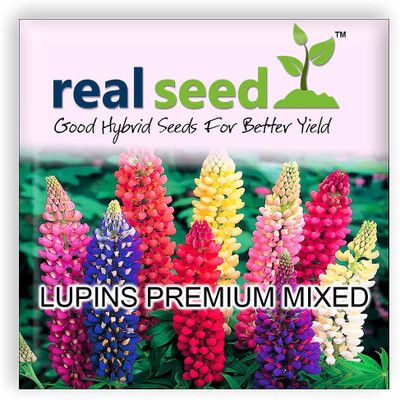

Real Seed Lupins Premium Mixed Seed(30 per packet)