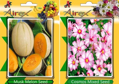 Airex Musk Melon and Cosmos Mixed Seed(15 per packet)