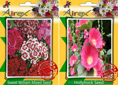 

Airex Sweet William Mixed, Hollyhock Seed(30 per packet)