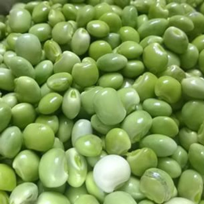 Divine Tree Pigeons Peas / Tuver Seed(30 per packet)