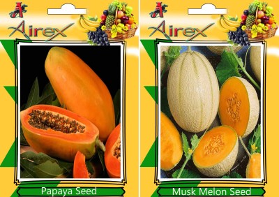 Airex Papaya and Musk Melon Seed(25 per packet)