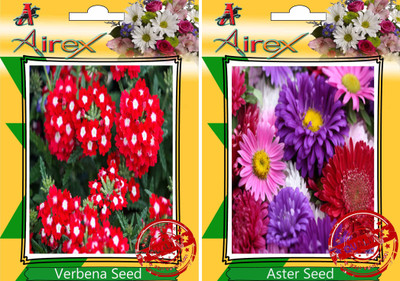 

Airex Verbena, Aster Seed(20 per packet)