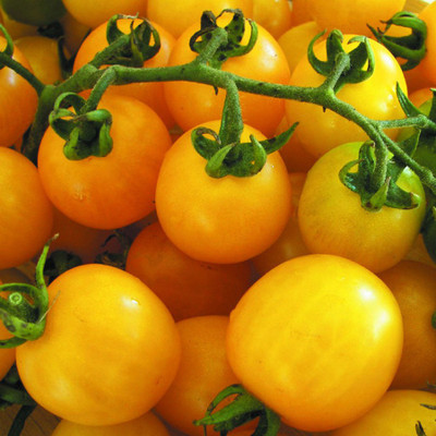 

Amir Enterprises Tomato Seed(25 per packet)