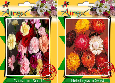 

Airex Carnation, Helichrysum Seed(15 per packet)