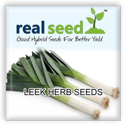

Real Seed Leek F1 Hybrid Seed(60 per packet)