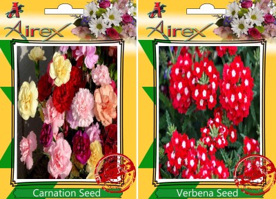 

Airex Carnation, Verbena Seed(15 per packet)