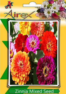 

Airex Zinnia Mixed Seed(20 per packet)