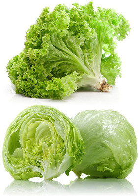 

Real Seed Lettuce Ice Berg Salista Seed(70 per packet)