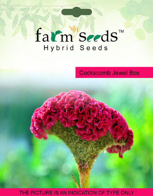

FARM SEEDS Cockscomb Jewel Box Seed(100 per packet)