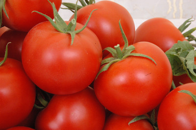 Kalash Tamato Seed(50 per packet)