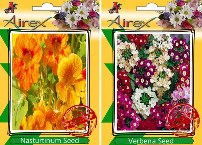 

Airex Nasturtium Mixed, Verbena Seed(25 per packet)