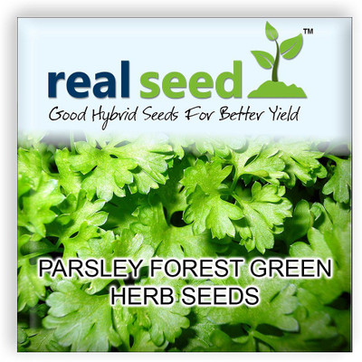 

Real Seed Parsley Seed(60 per packet)