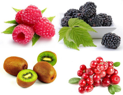 

National Gardens Fruit Seeds Combo - Blackberry, Raspberry, Cranberry, Kiwi Fruit Seeds by National Gardens Seed(40 per packet)