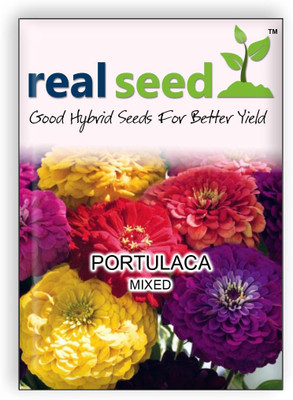 

Real Seed Portulaca Mixed Flower Seed