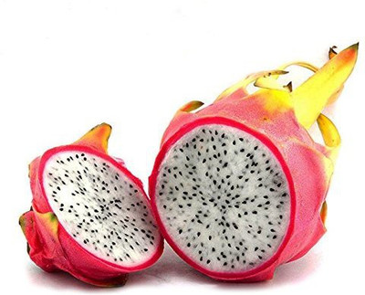 

Futaba Pitaya Seeds Seed(50 per packet)