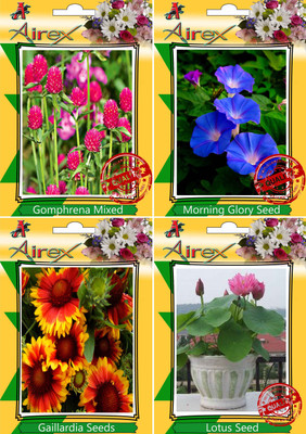 

Airex Gomphrena Mixed,Morning Glory,Gaillardia and Lotus Seed(15 per packet)