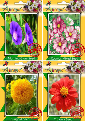 

Airex Morning Glory,Cosmos Mixed,Sungold and Tithonia Seed(15 per packet)